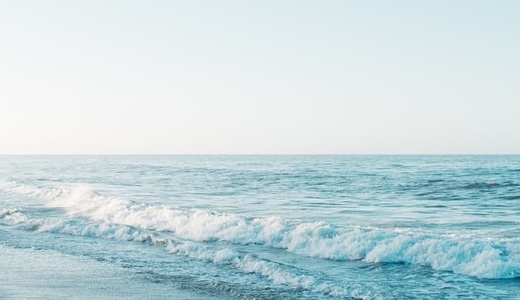 家族が逮捕されたら最初にやること｜弁護士接見・面会・釈放までの流れ