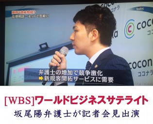 WBS出演